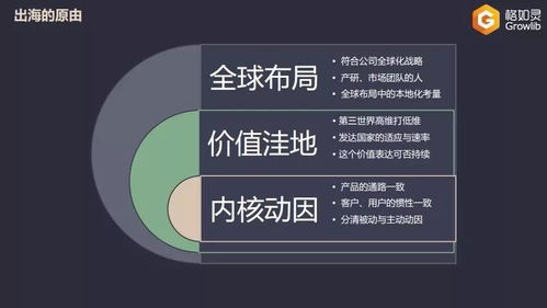 教育出海的荊棘之路 技術(shù)產(chǎn)品型公司的海外挑戰(zhàn)與反思